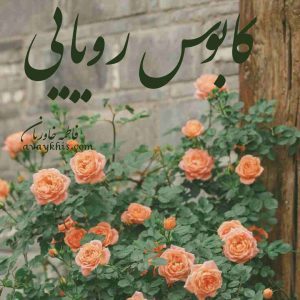 رمان کابوس رویایی 