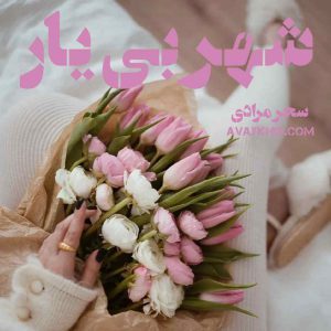 رمان شهر بی یار 