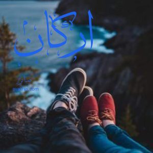 رمان ارکان 