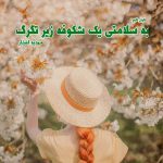 دانلود رمان به سلامتی یک شکوفه زیر تگرگ از نویسنده مهدیه افشار رمان رایگان