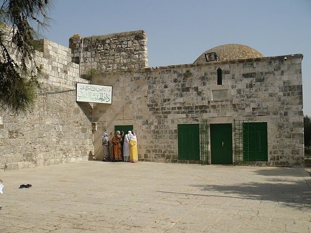 سلیمان نبی